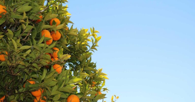 Best AI Tools for Daily Tasks in 2025: A Strategic Guide