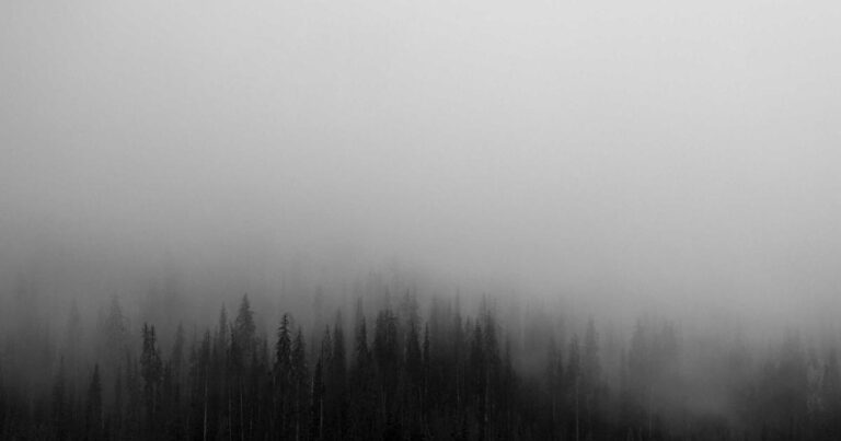 Voice-to-Text AI Tools 2025: Unlock Productivity & Creativity