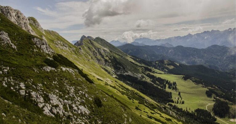 AI Collaborative Writing Tools: The Unvarnished Truth for 2025