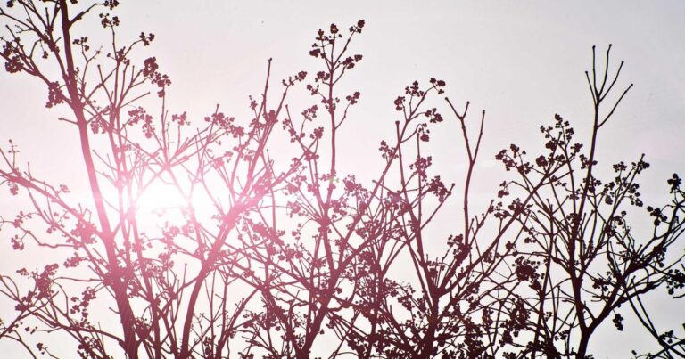 Claude vs. ChatGPT: Which AI Assistant is Better for Beginners in 2025?