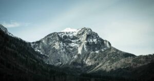 Unlock Viral Graphics: Top AI Design Tools for Social Media in 2026