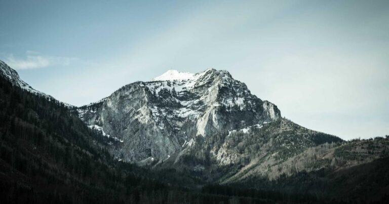 Unlock Viral Graphics: Top AI Design Tools for Social Media in 2025