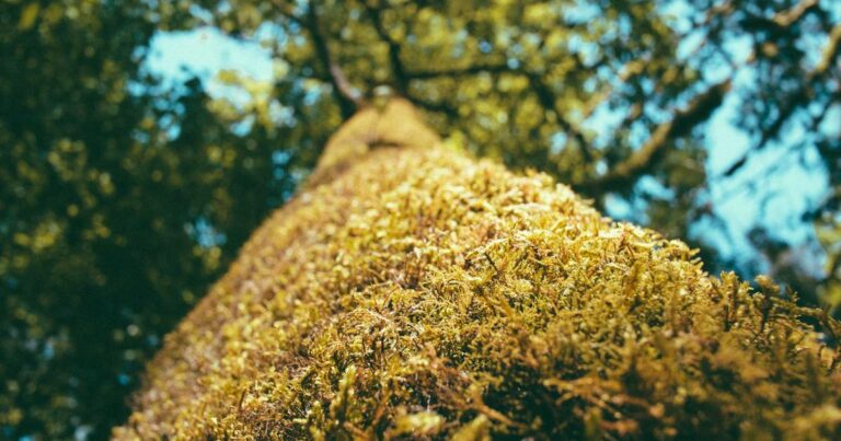 Mastering AI Image Prompts in 2025: Unlock Stunning Visuals