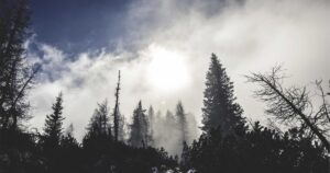 Best AI Writing Tools for Beginners in 2026: Write Smarter