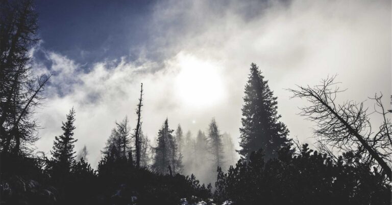 Best AI Writing Tools for Beginners in 2025: Write Smarter