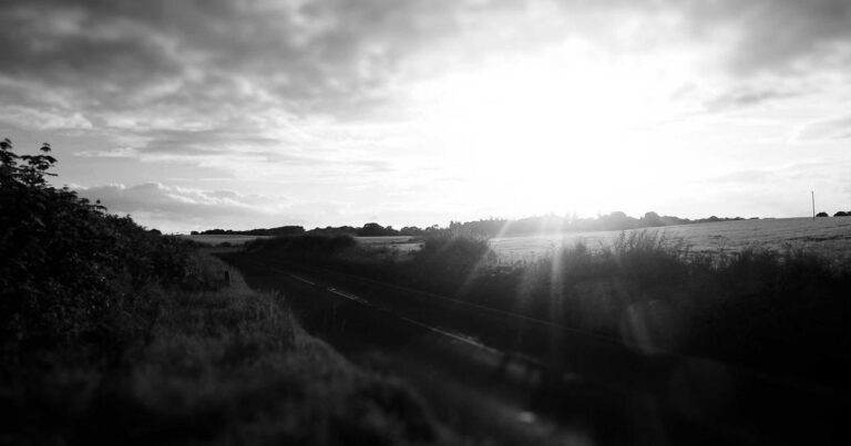 AI Document Organization: Stop Losing Millions to Digital Chaos