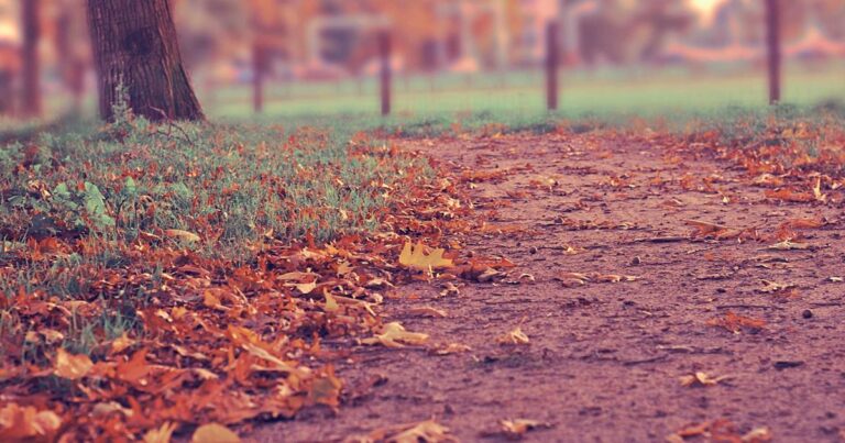 AI Personal Assistants 2025: Your Ultimate Guide to Smarter Living