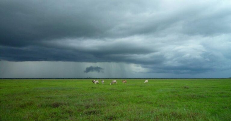 Reclaim Your Inbox: Top AI Email Management Tools for 2025