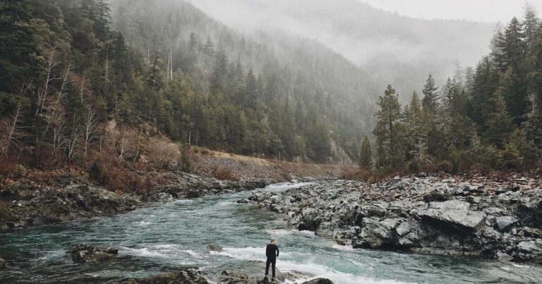 The Ultimate AI Shopping Guide for 2025: Shop Smarter, Not Harder