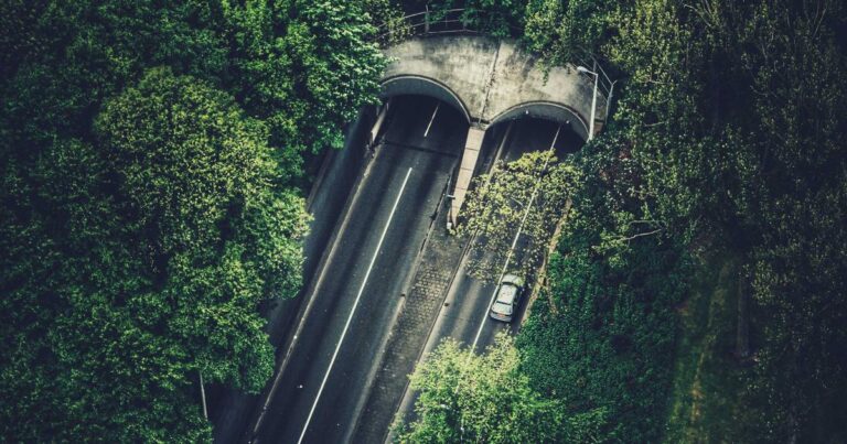 Beyond the Hype: 15 AI Phone Apps That Will Transform Your Life in 2025