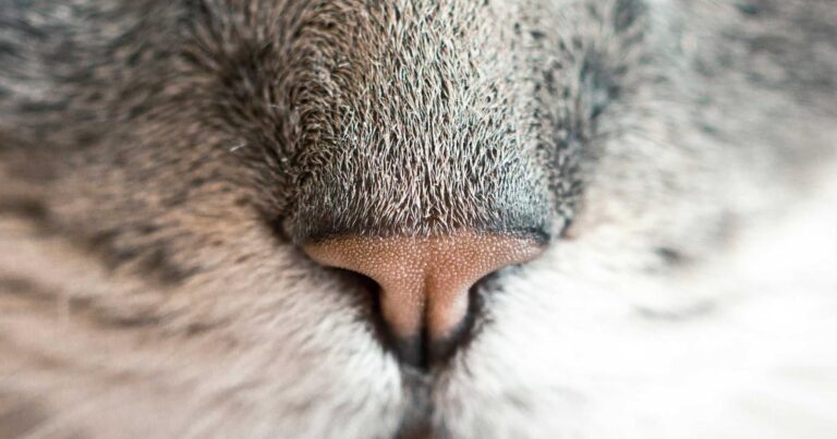 10 Best AI Tools for Business in 2025: Work Less, Grow More