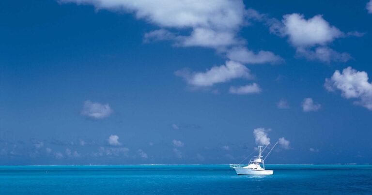 AI Customer Support: Best Chatbots & Tools for 2025 Success