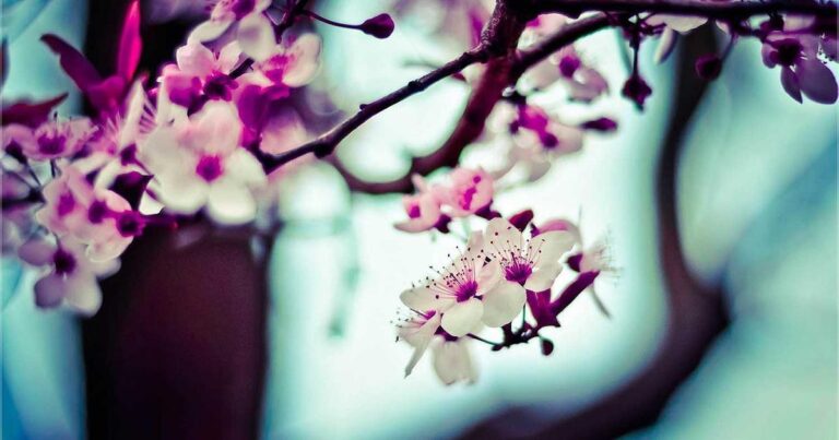 AI Financial Management: The 2025 Guide to Smarter Budgeting & Accounting