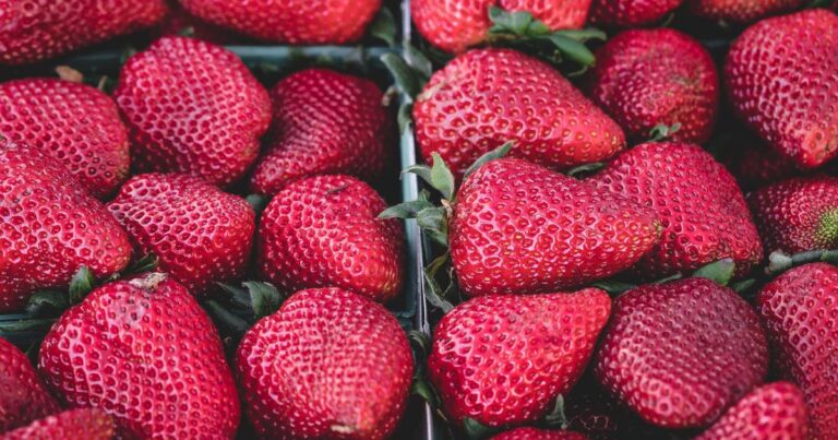 AI Social Media Management: Automate & Dominate in 2025